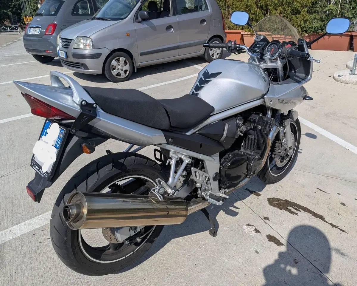 Suzuki GSF 650 Bandit S (2005 - 06) (2)