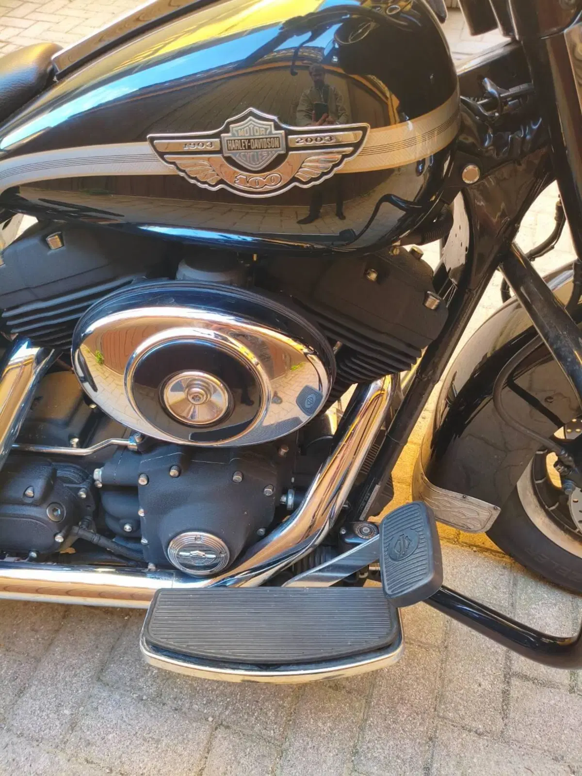 Harley-Davidson 1450 Electra Glide Classic (2002) - FLHTC (5)