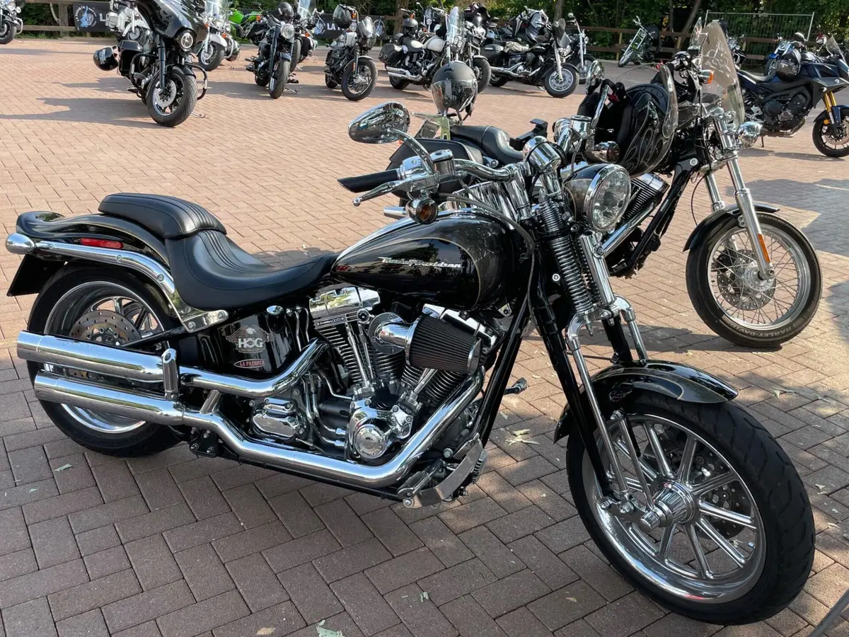 Harley-Davidson 1800 Springer (2009 - 12) - FXSTSSE (3)