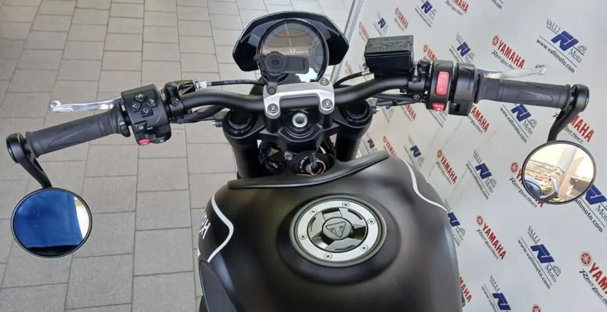 Triumph Trident 660 (2021 - 24) (4)