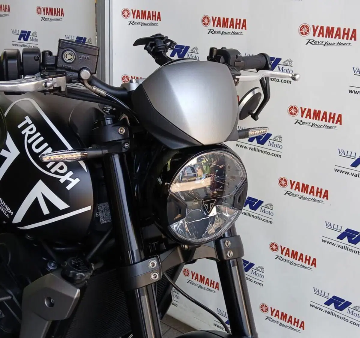 Triumph Trident 660 (2021 - 24) (6)
