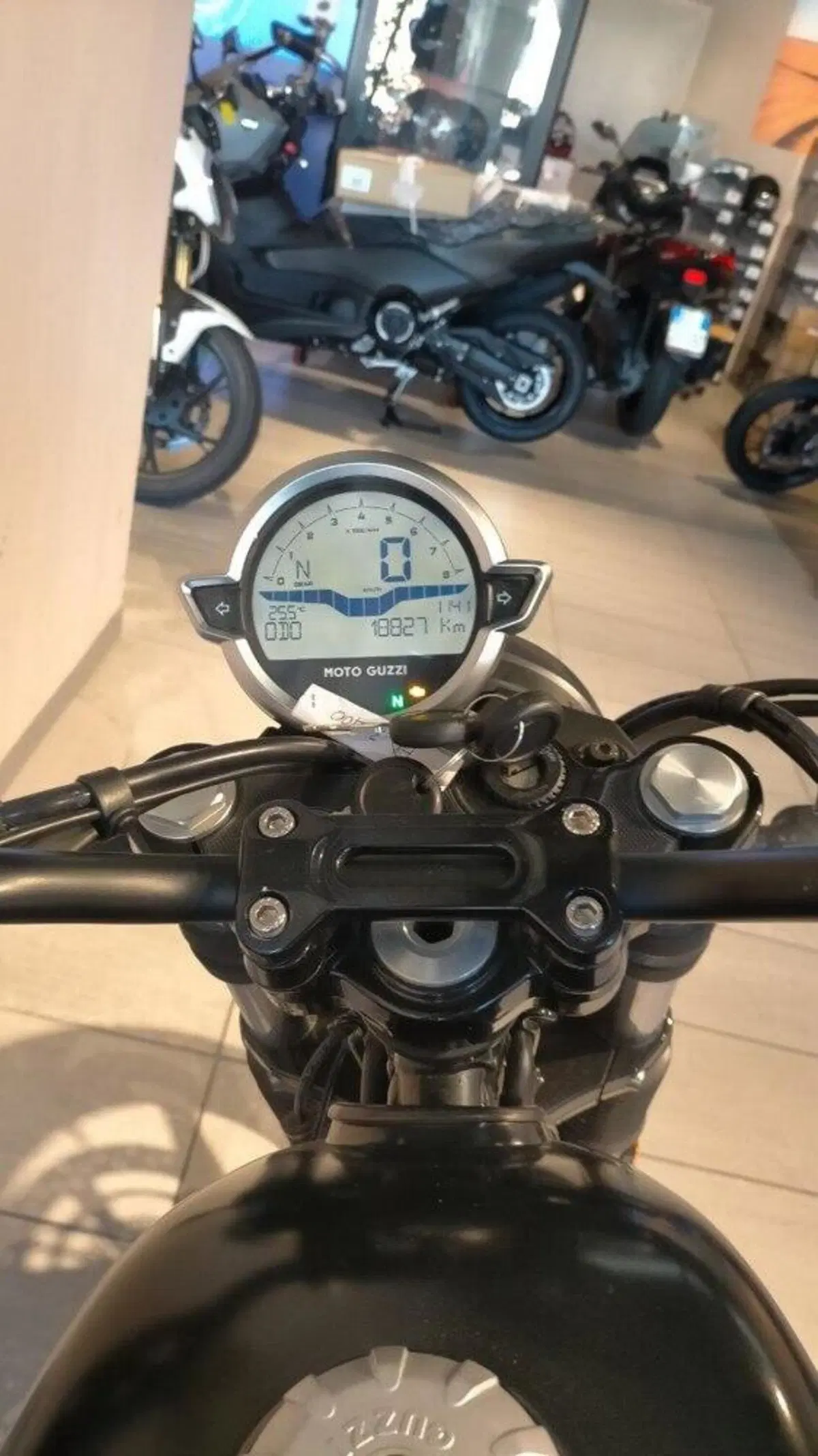 Moto Guzzi V7 Stone (2021 - 24) (4)