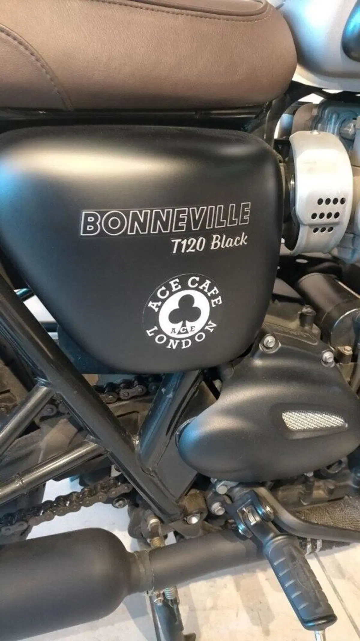 Triumph Bonneville (2007 - 16) (6)