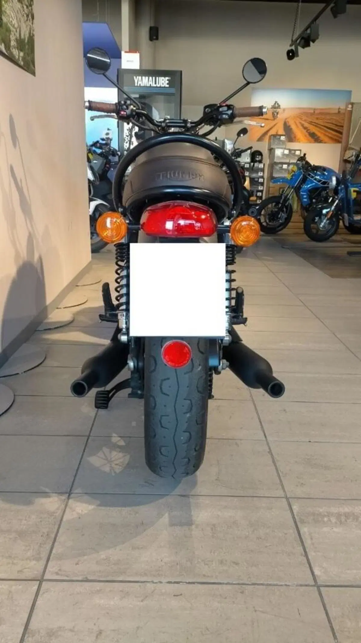 Triumph Bonneville (2007 - 16) (7)