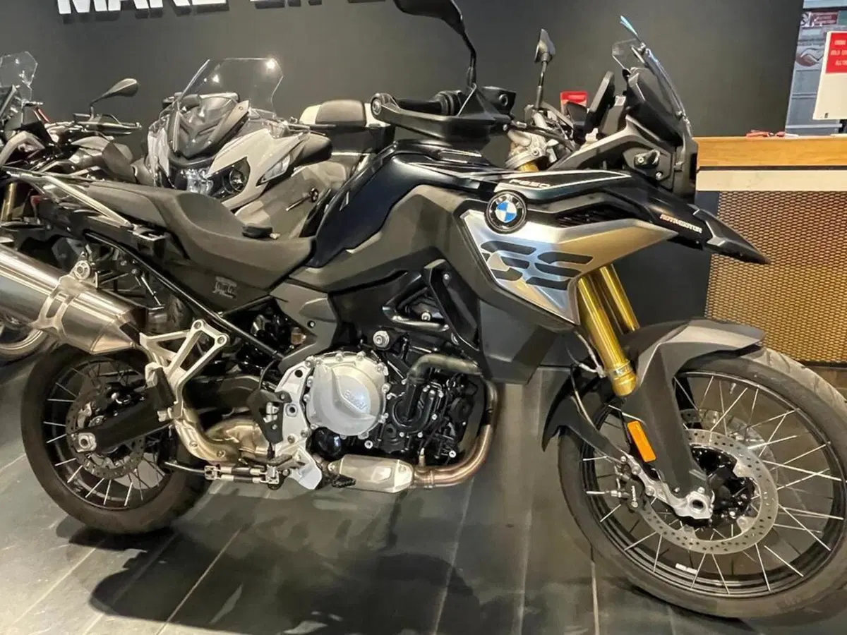 Bmw F 850 GS (2018 - 20)