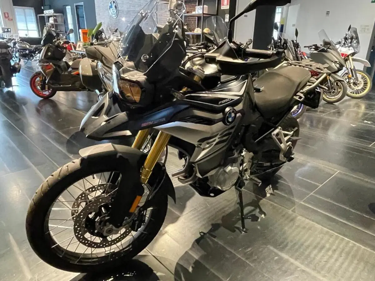 Bmw F 850 GS (2018 - 20) (8)