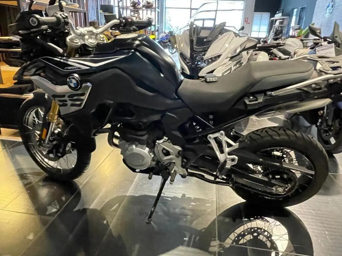 Bmw F 850 GS (2018 - 20) (7)