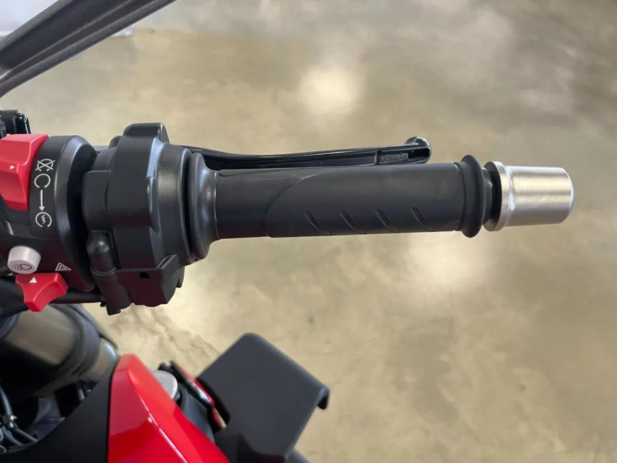 Ducati Streetfighter V2 (2022 - 24) (11)