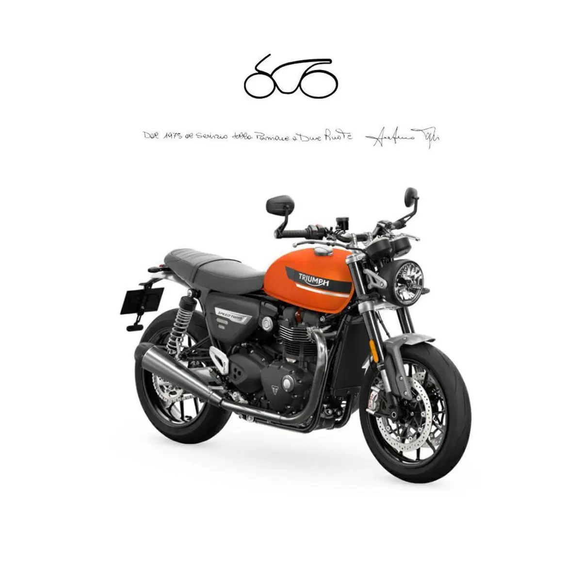 Triumph Speed Twin 1200 (2021 - 24)