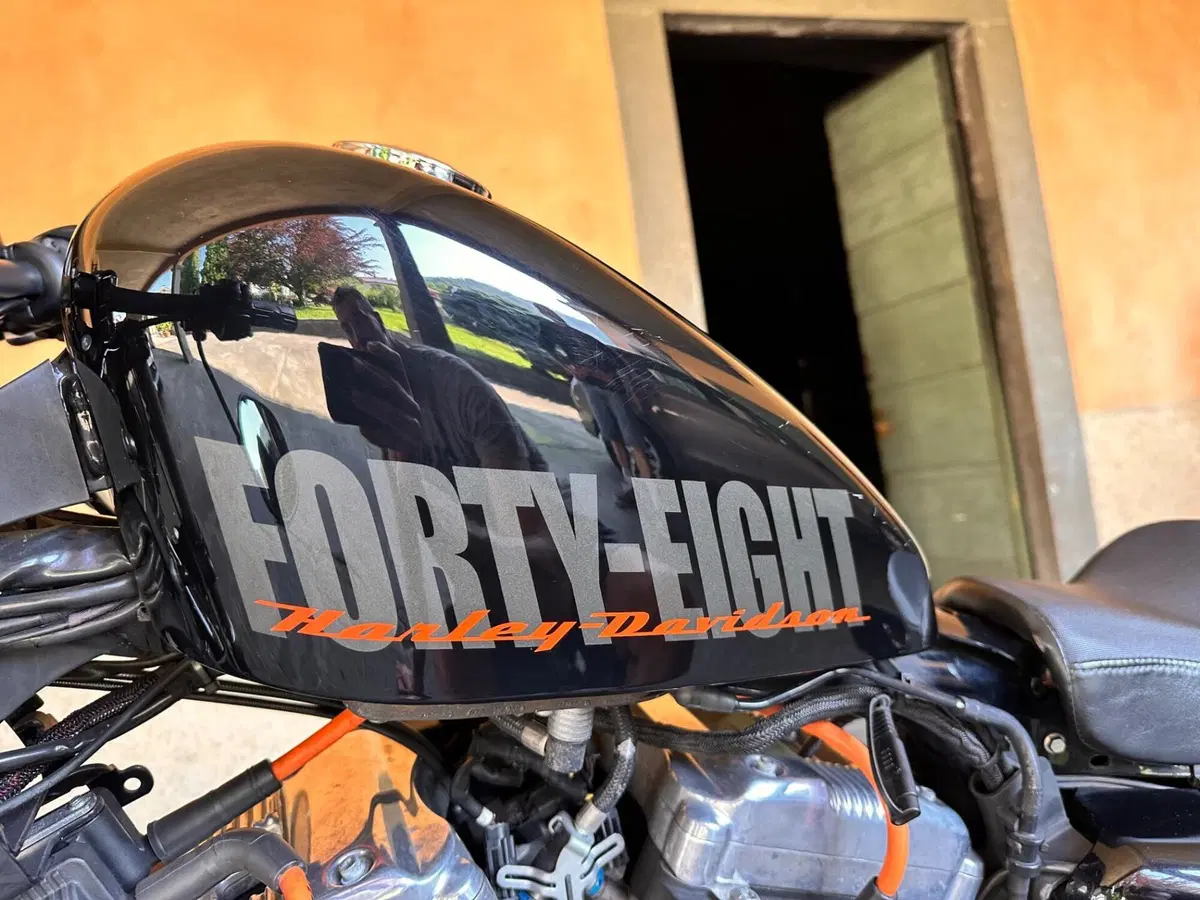Harley-Davidson XL 1200 X Forty-Eight (2018) (3)