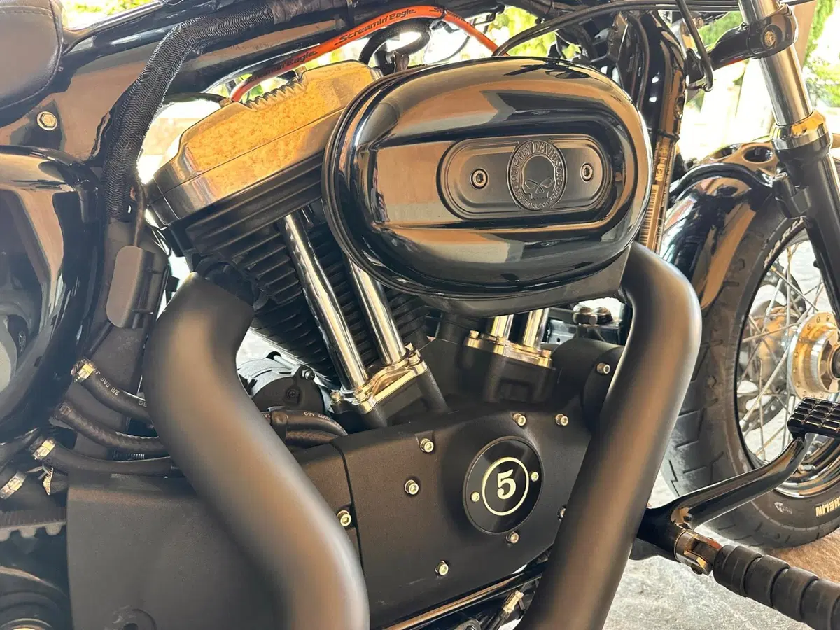 Harley-Davidson XL 1200 X Forty-Eight (2018) (5)