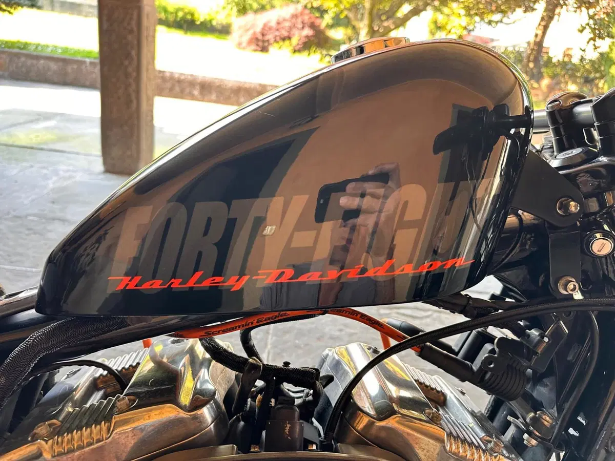 Harley-Davidson XL 1200 X Forty-Eight (2018) (6)