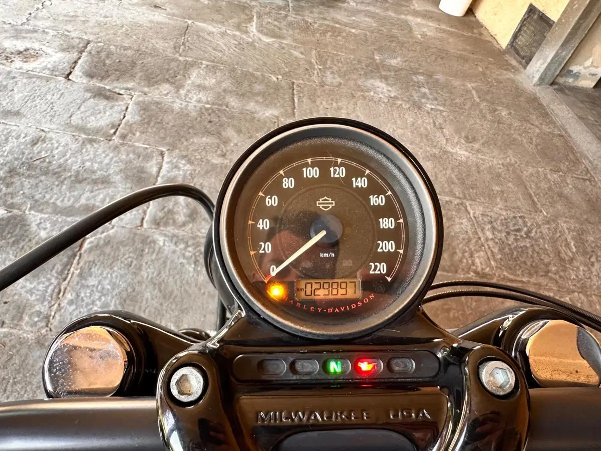 Harley-Davidson XL 1200 X Forty-Eight (2018) (8)