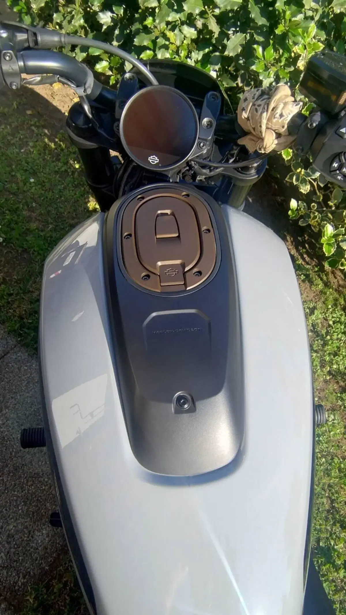 Harley-Davidson Sportster S (2022 - 24) (4)