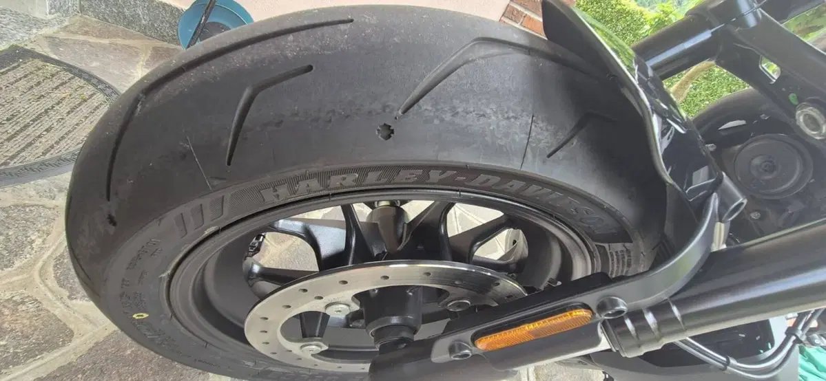 Harley-Davidson Sportster S (2022 - 24) (12)