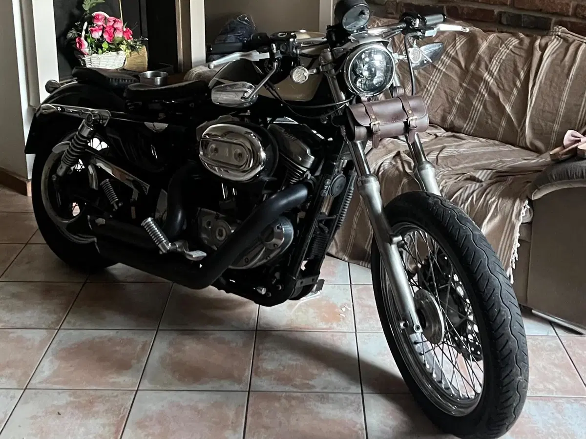 Harley-Davidson 883 (2008 - 09) - XL (2)