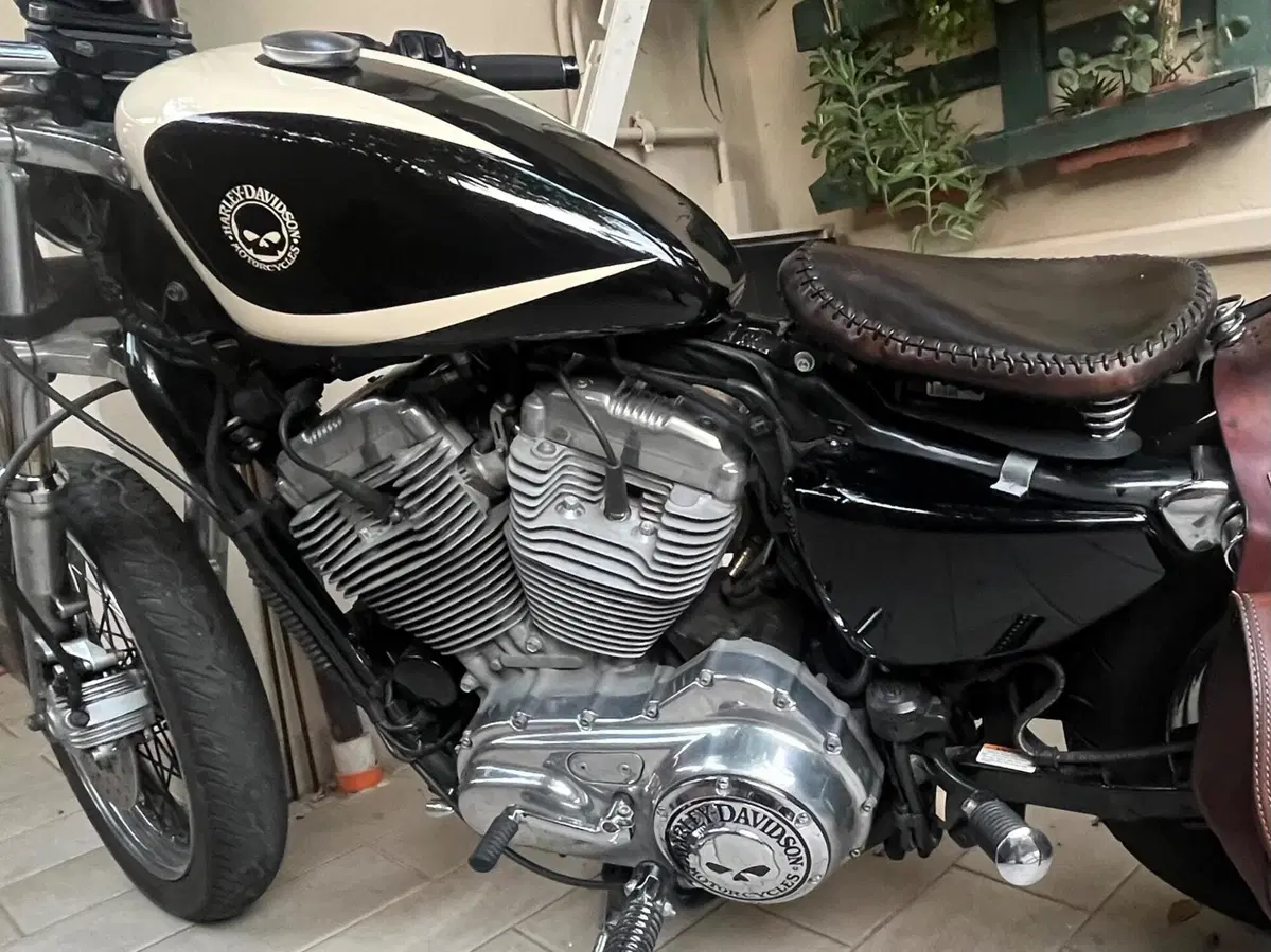 Harley-Davidson 883 (2008 - 09) - XL (3)