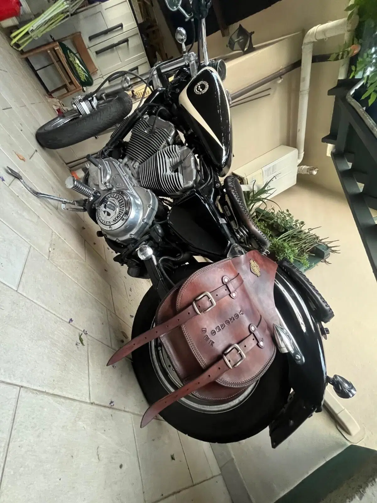 Harley-Davidson 883 (2008 - 09) - XL (4)