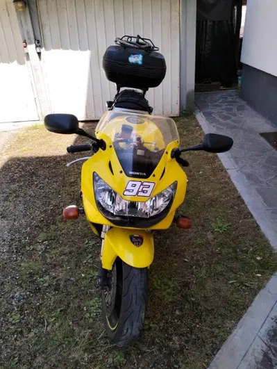 Honda CBR 900 RR Fireblade (2000 - 01) usata