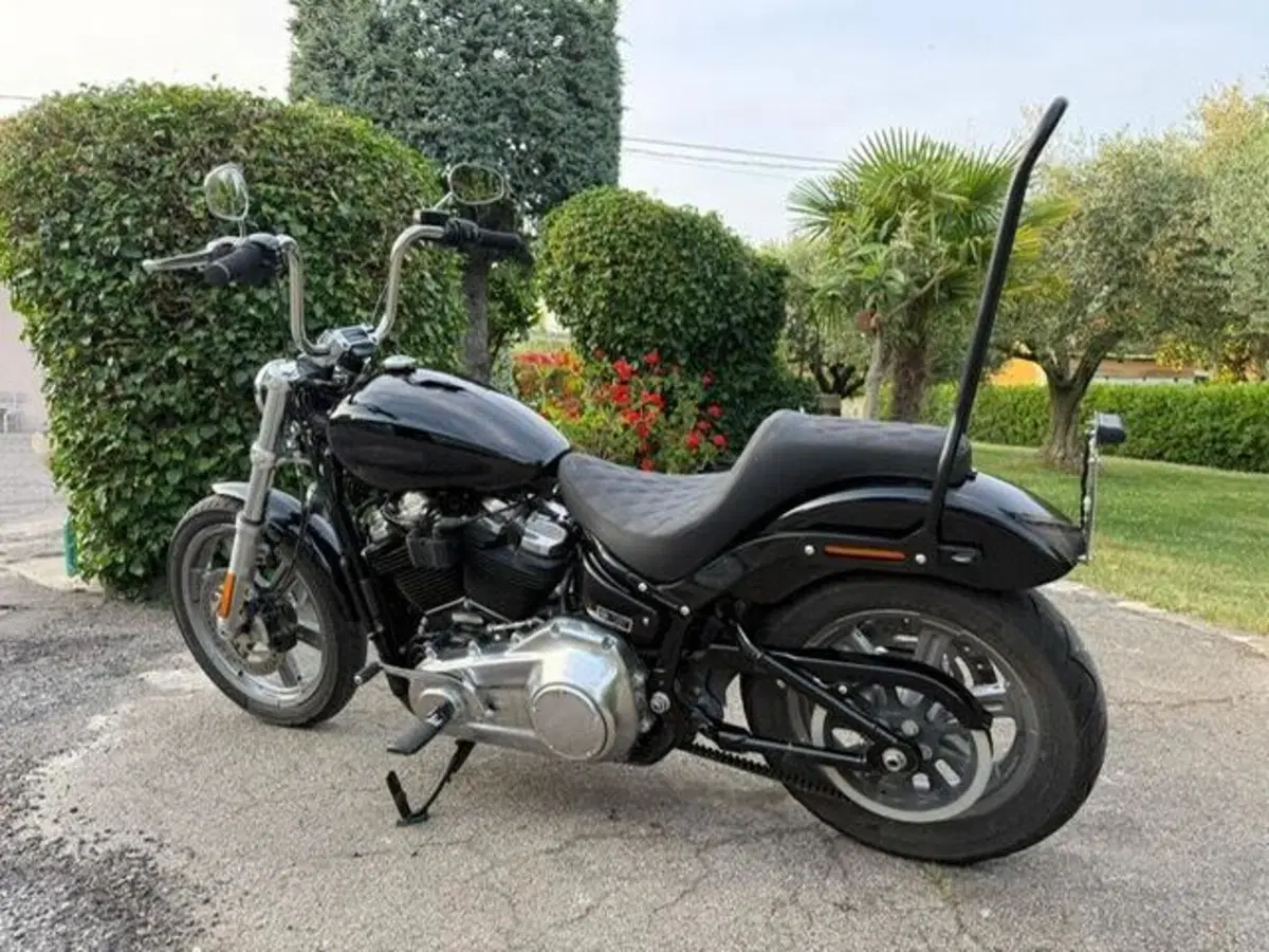 Harley-Davidson Softail Standard (2021 - 25) (4)