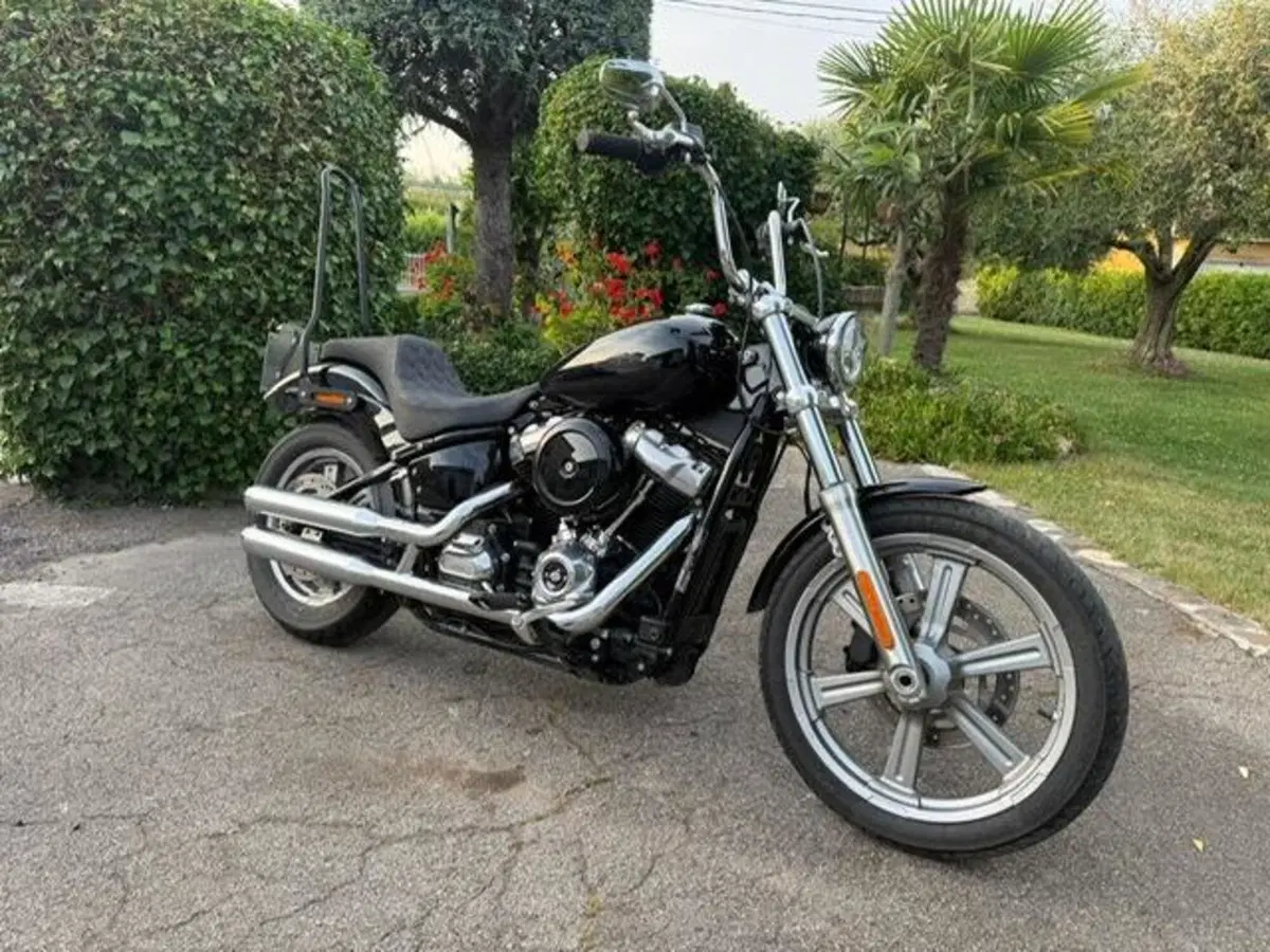 Harley-Davidson Softail Standard (2021 - 25) (5)