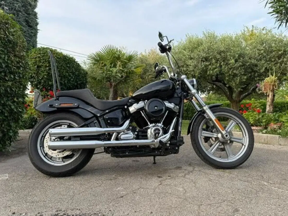 Harley-Davidson Softail Standard (2021 - 25) (6)