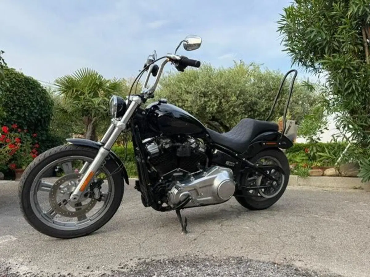 Harley-Davidson Softail Standard (2021 - 25) (7)