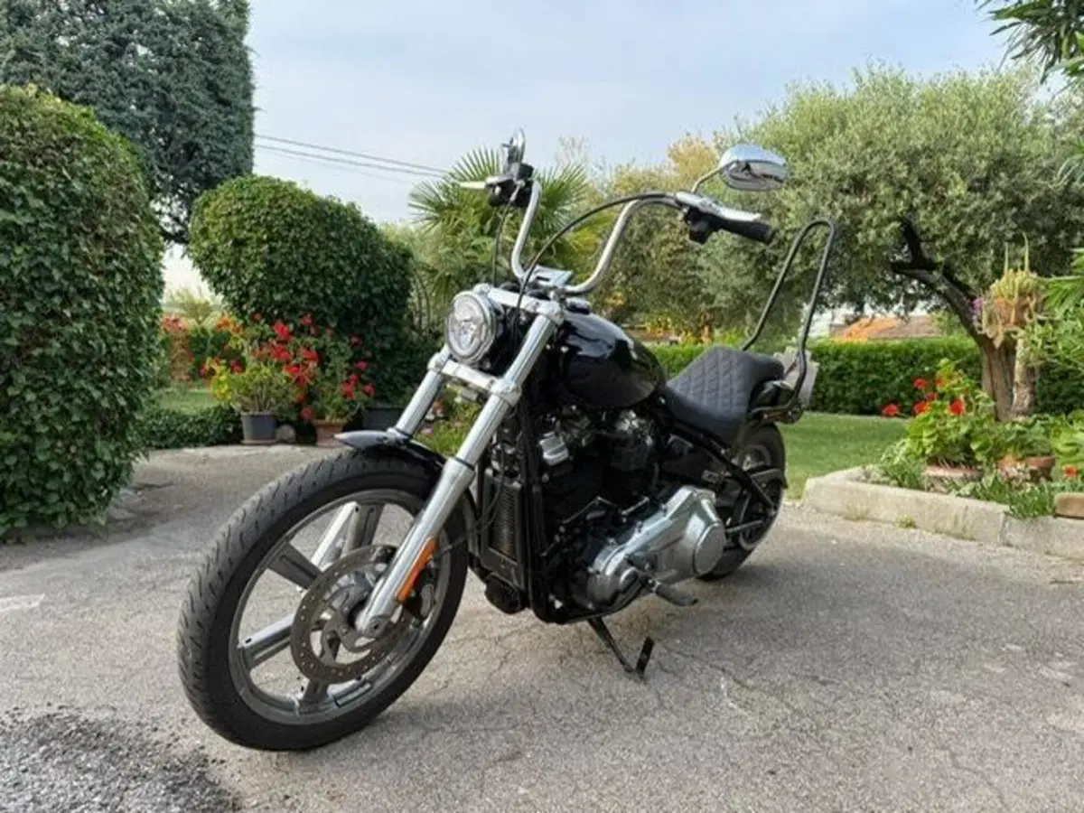 Harley-Davidson Softail Standard (2021 - 25) (8)