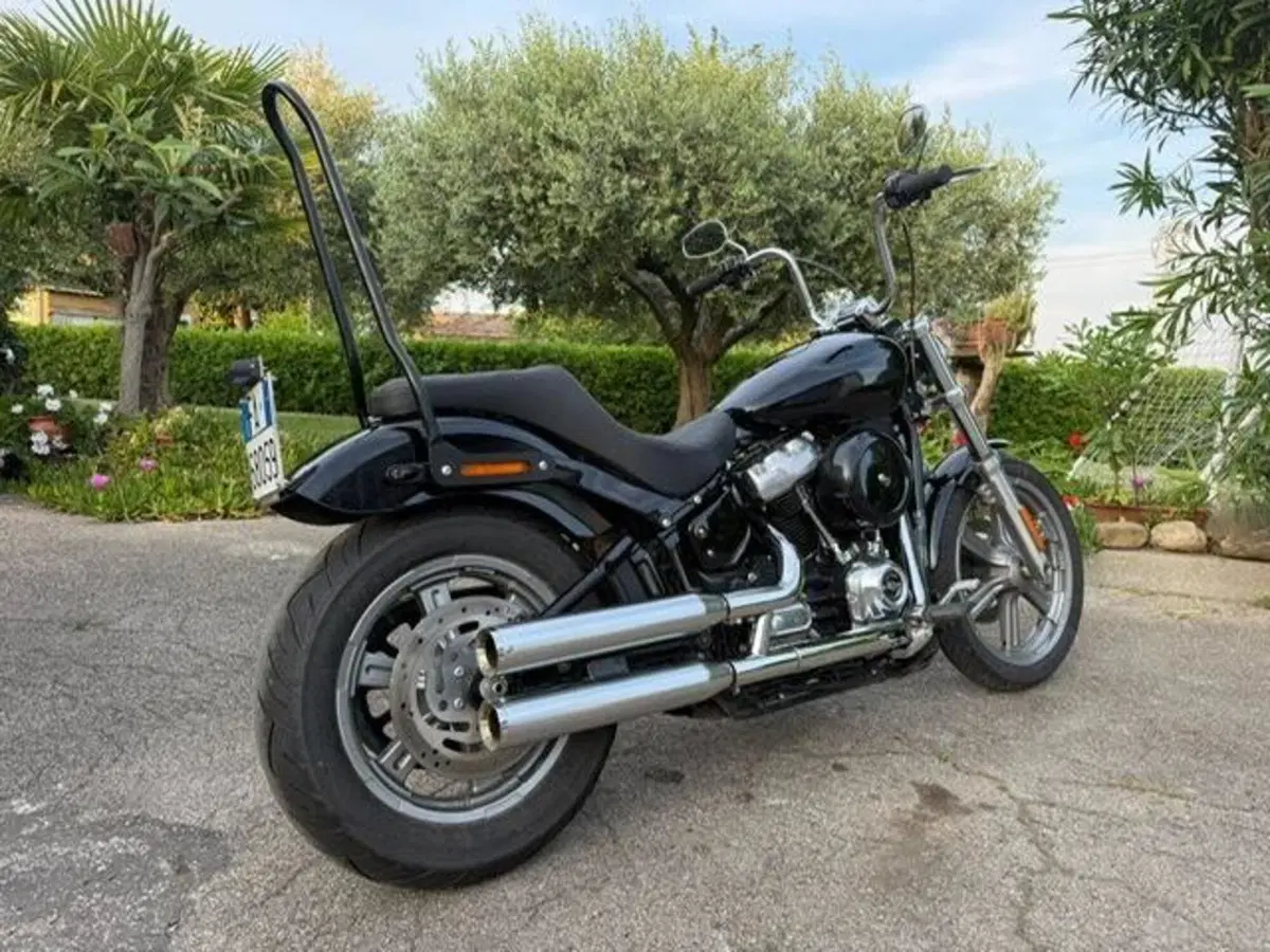 Harley-Davidson Softail Standard (2021 - 25) (9)