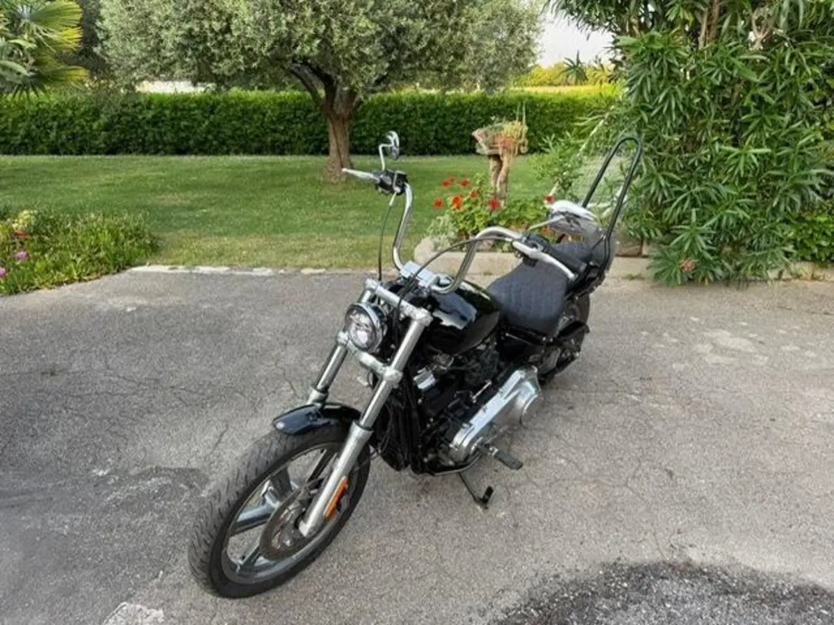 Harley-Davidson Softail Standard (2021 - 25) (10)
