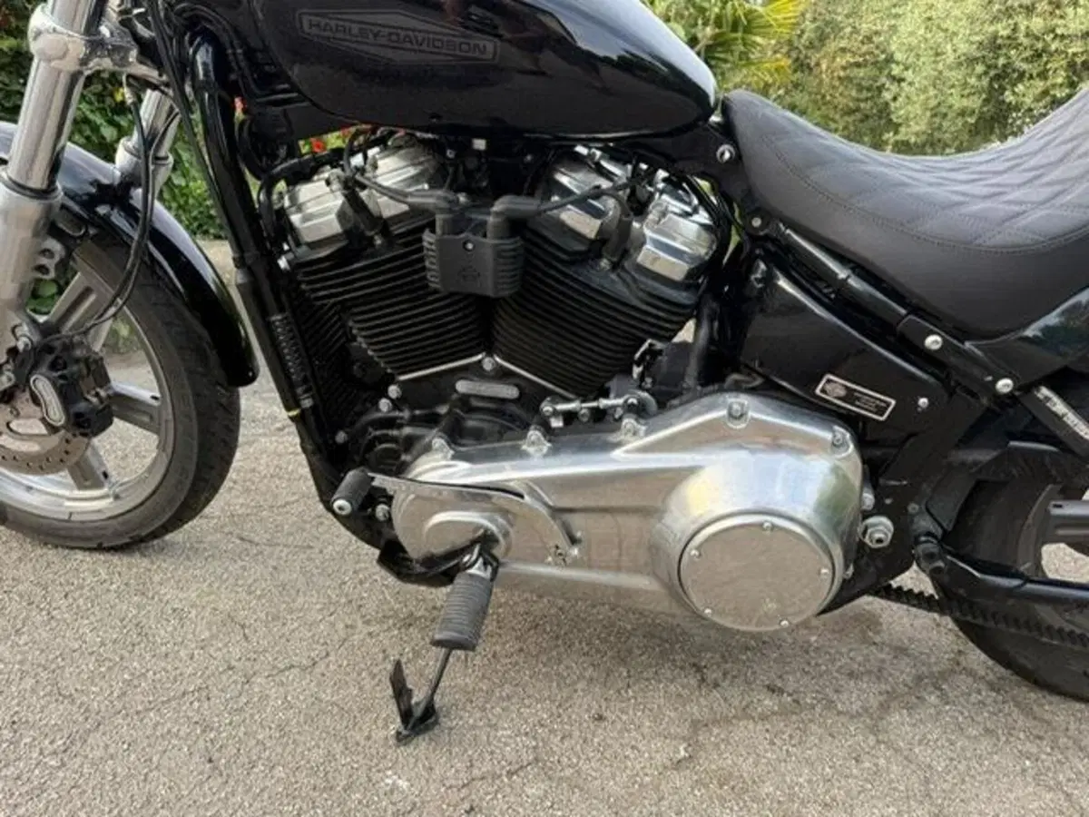 Harley-Davidson Softail Standard (2021 - 25) (11)