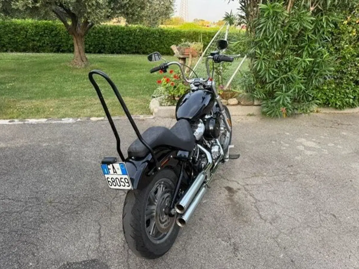Harley-Davidson Softail Standard (2021 - 25) (12)