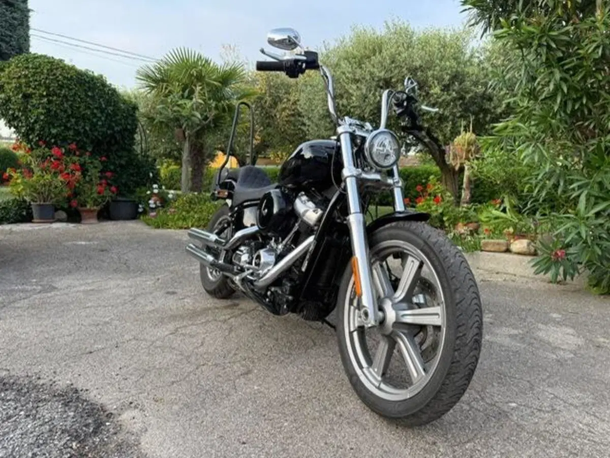 Harley-Davidson Softail Standard (2021 - 25) (13)