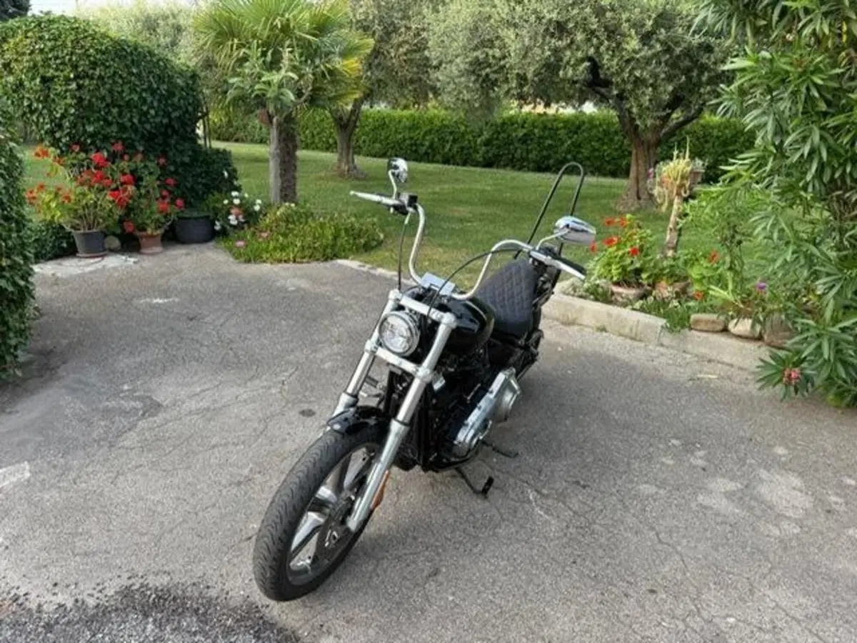 Harley-Davidson Softail Standard (2021 - 25) (14)