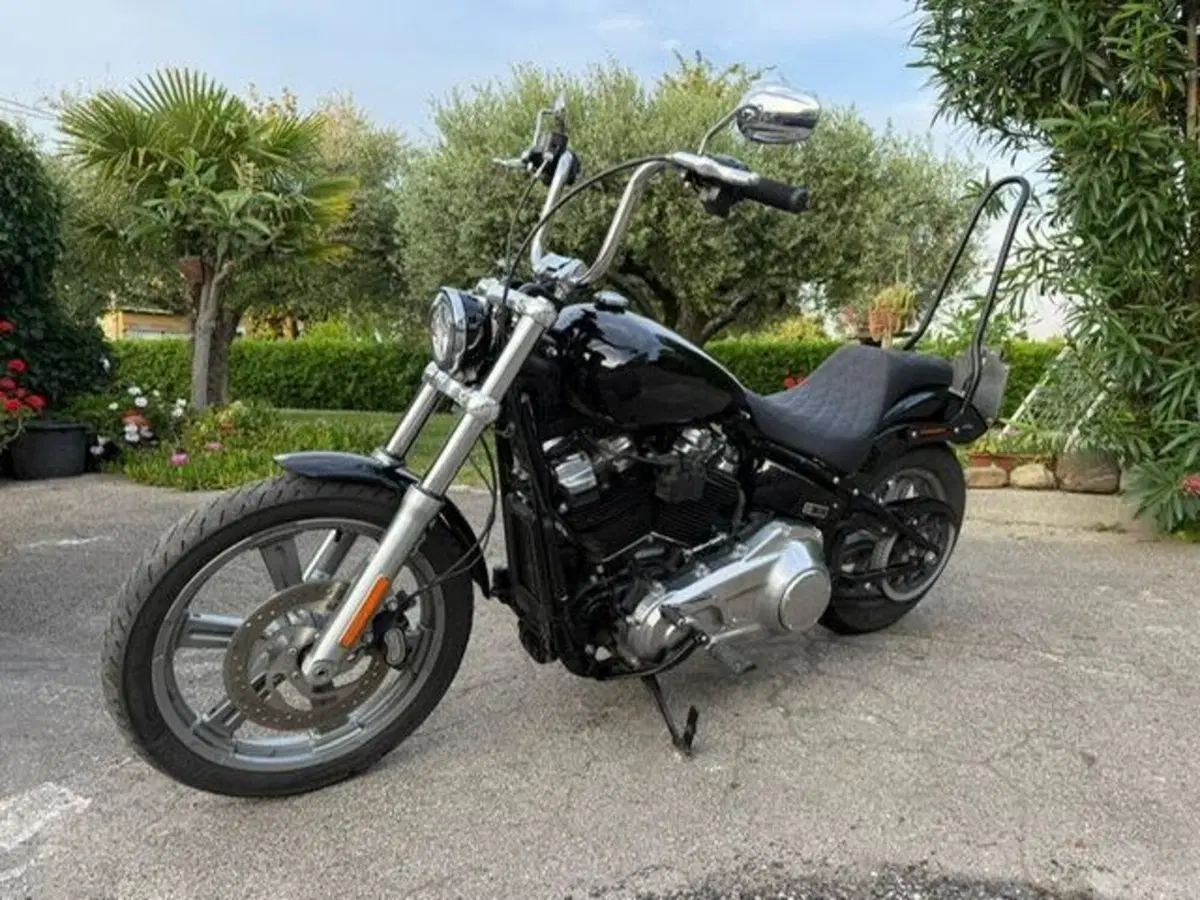Harley-Davidson Softail Standard (2021 - 25) (15)