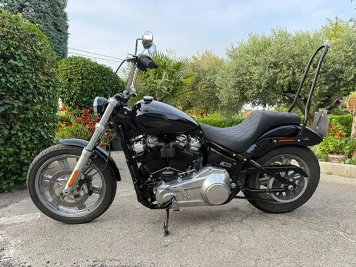 Harley-Davidson Softail Standard (2021 - 25) (16)