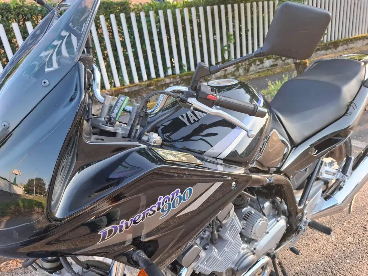Yamaha XJ 900 S Diversion (1995 - 02) (5)