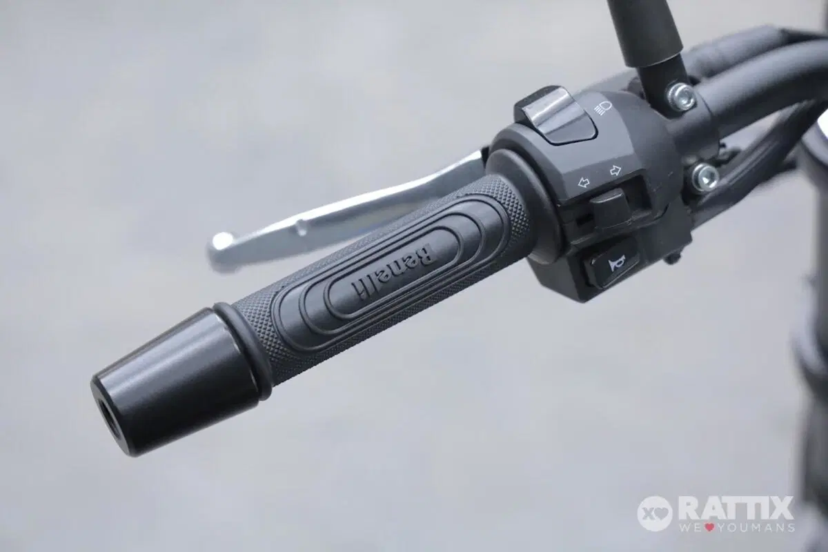 Benelli Leoncino 250 (2021 - 25) (11)