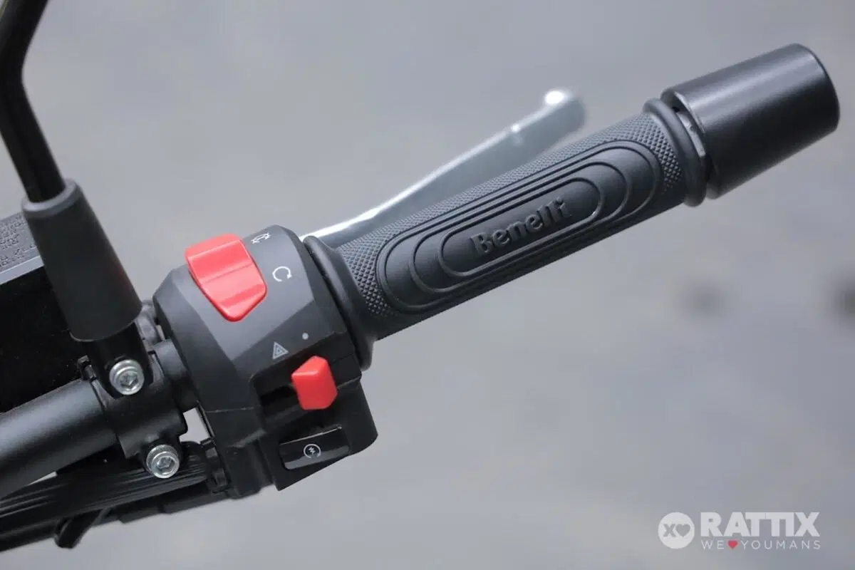 Benelli Leoncino 250 (2021 - 25) (12)