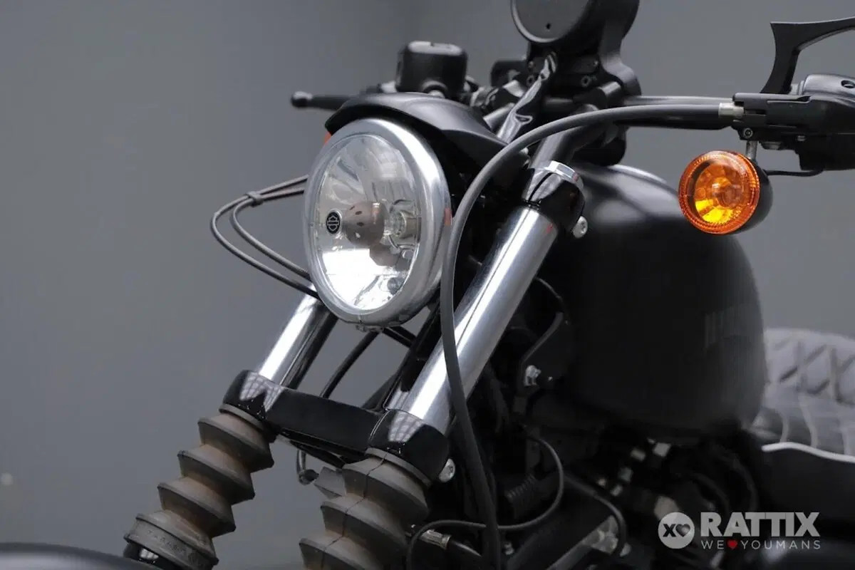 Harley-Davidson 883 Iron (2017 - 20) - XL 883N (6)