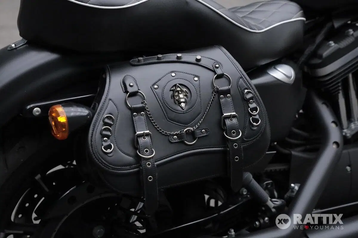 Harley-Davidson 883 Iron (2017 - 20) - XL 883N (8)