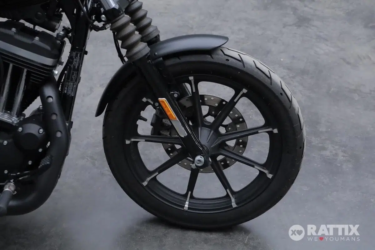 Harley-Davidson 883 Iron (2017 - 20) - XL 883N (10)