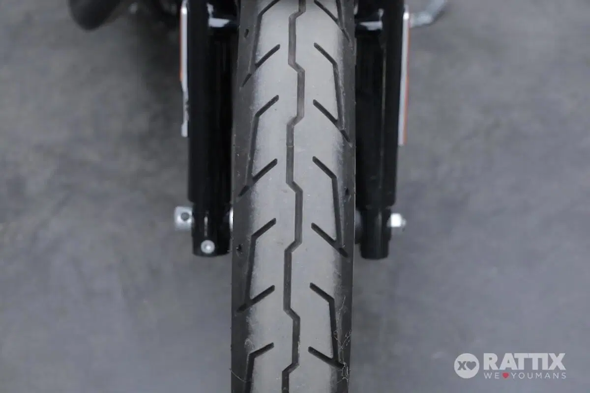 Harley-Davidson 883 Iron (2017 - 20) - XL 883N (11)