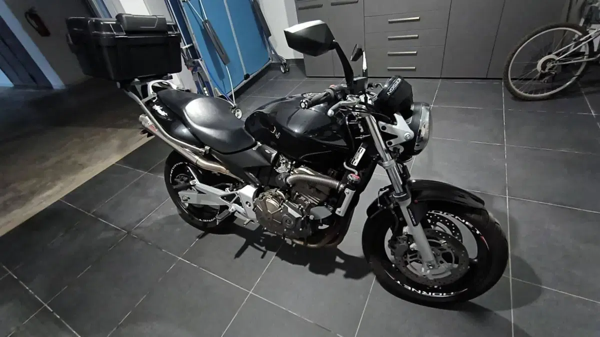 Honda Hornet 600 (2003 - 04) (6)