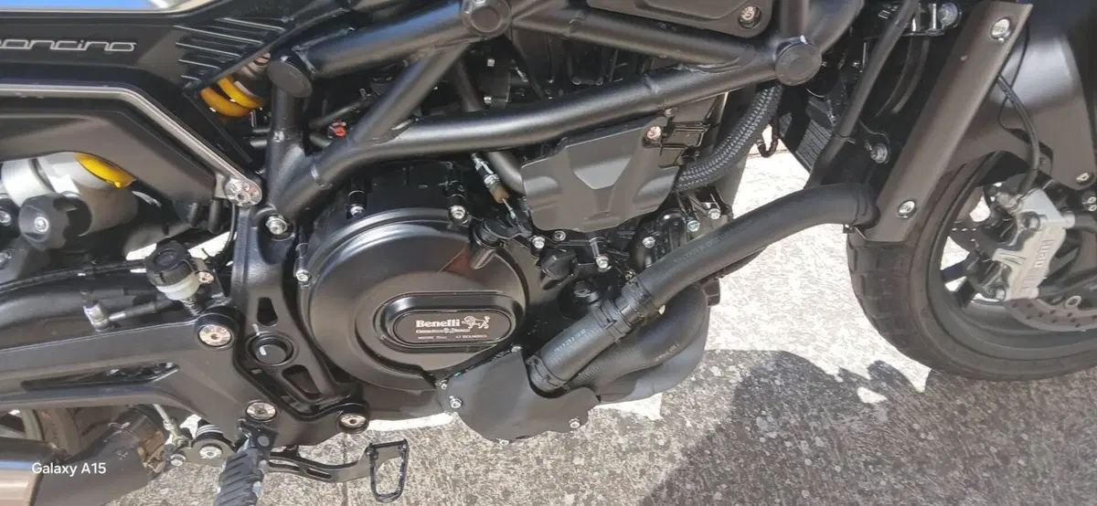 Benelli Leoncino 800 (2022 - 26) (5)