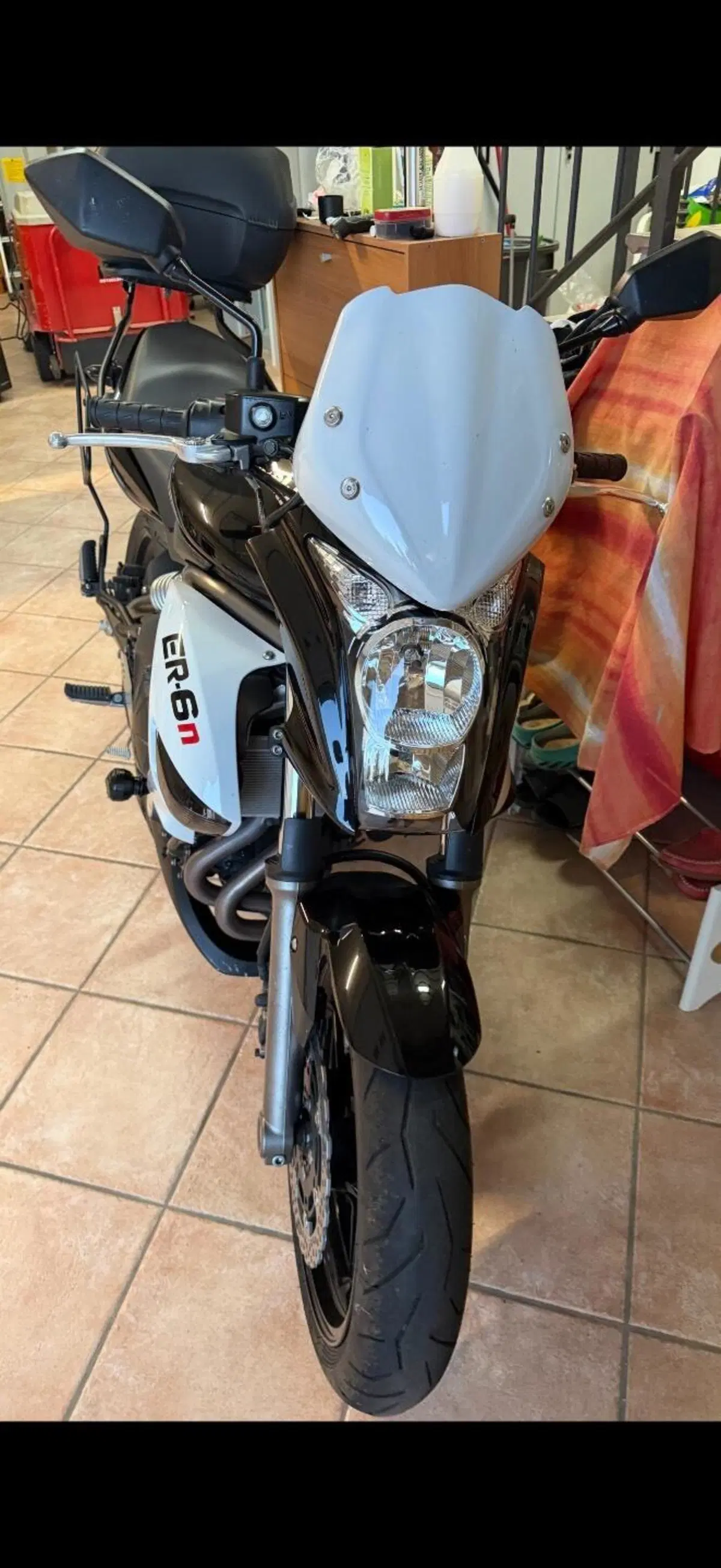 Kawasaki ER-6N (2009 - 11) (4)