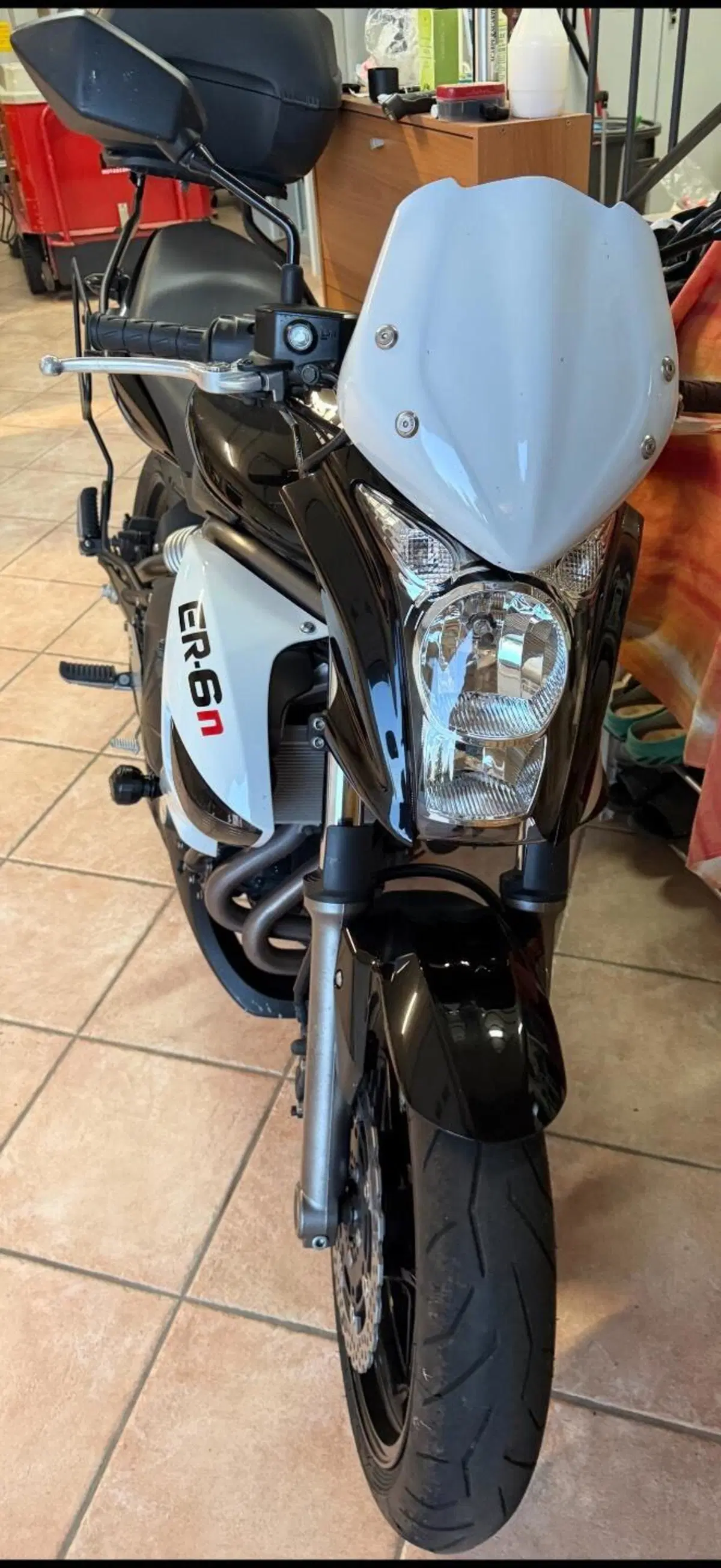 Kawasaki ER-6N (2009 - 11) (5)