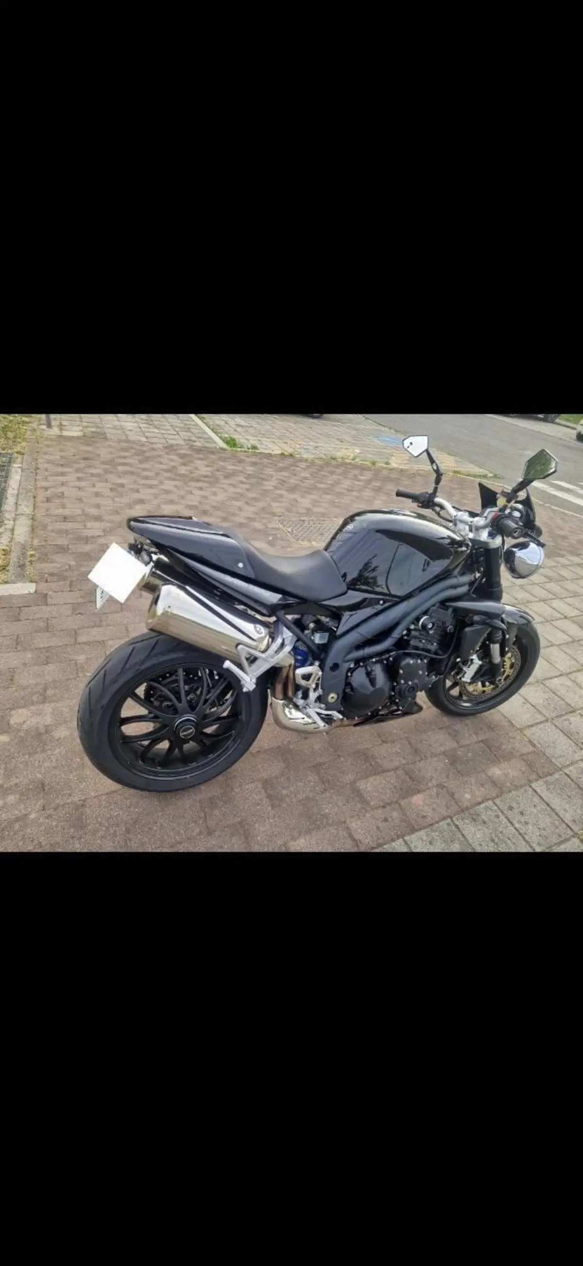 Triumph Speed Triple 1050 (2005 - 11) (4)