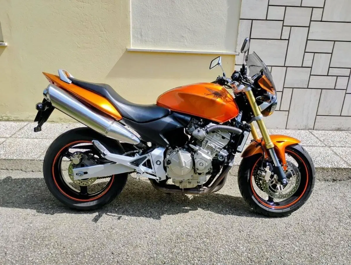 Honda Hornet 600 (2005 - 06)