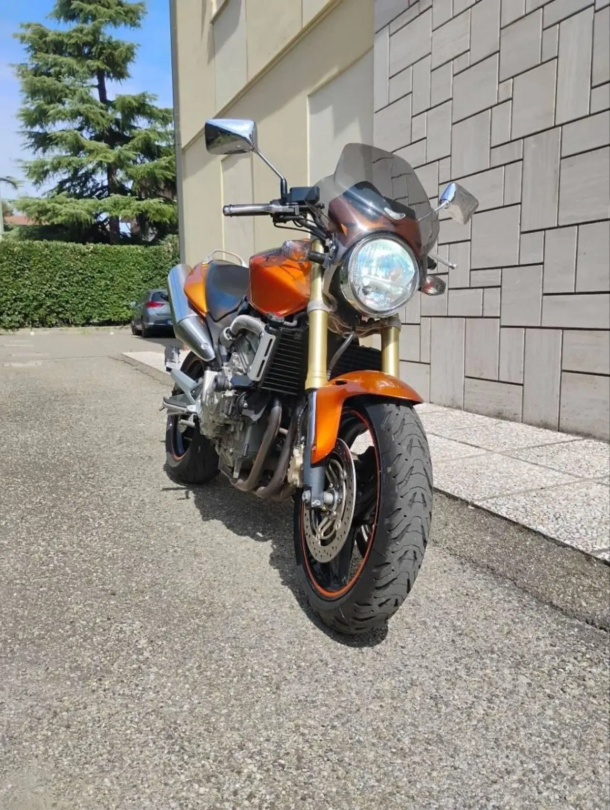 Honda Hornet 600 (2005 - 06) (2)